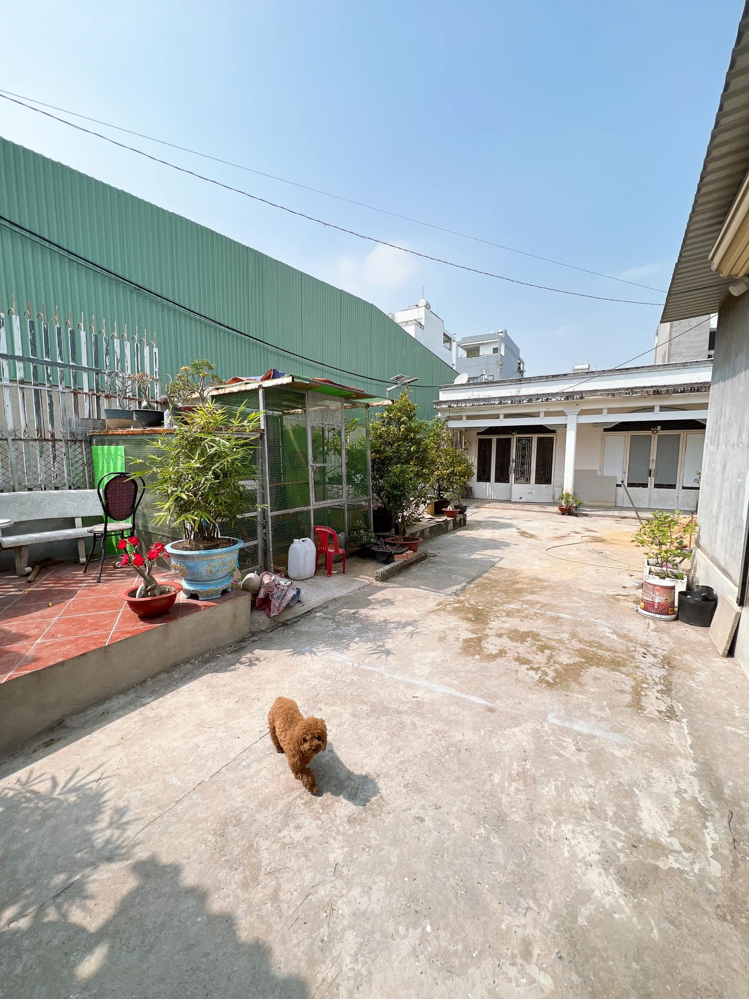 Bán nhà Vườn Lài P. An Phú Đông Q. 12, Ngang 8m, giảm giá còn 8.x tỷ - Ảnh chính